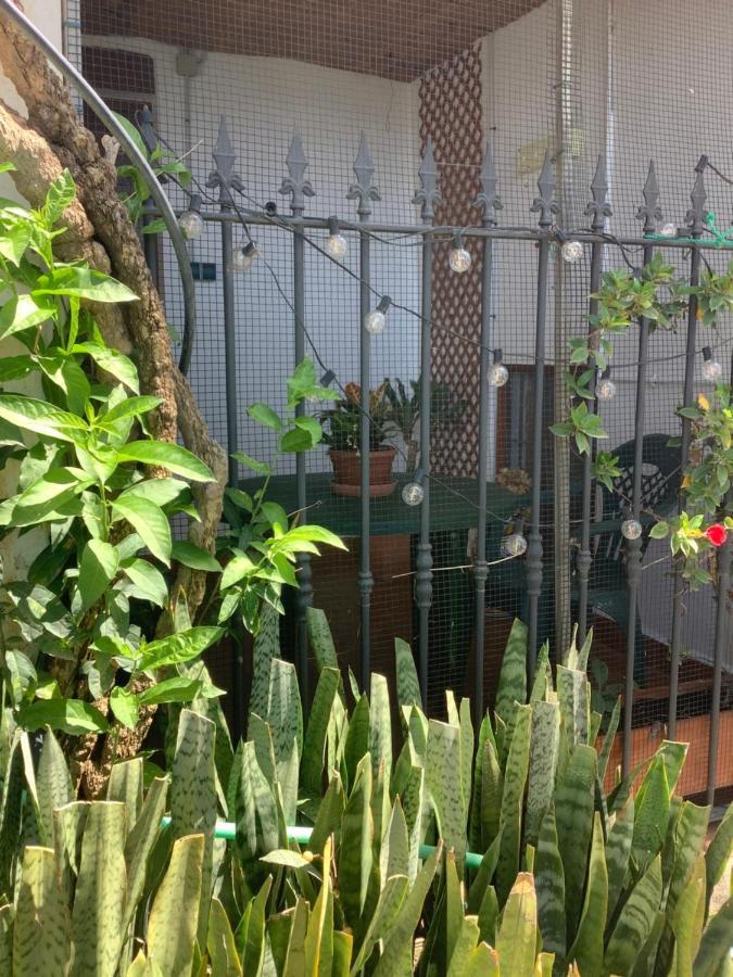 Cortijo De La Fuente Lägenhet Albunol Exteriör bild